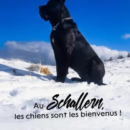 Le Schallern - Acces A Pieds Depuis Le Gaschney לינה וארוחת בוקר 3*