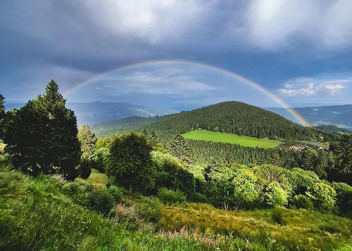 Le Schallern - Acces A Pieds Depuis Le Gaschney 3* Muhlbach-sur-Munster